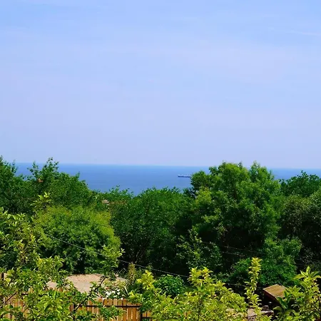 серена - Serena - Zone * Baltsjik