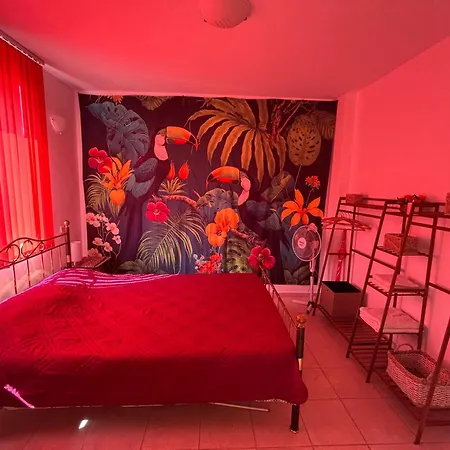Appartamento серена - Serena - Zone Balchik