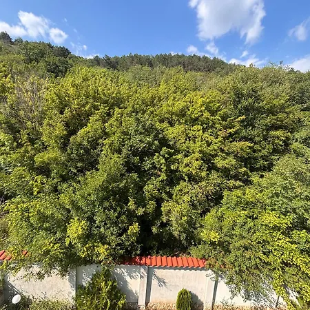 серена - Serena - Zone * Balchik